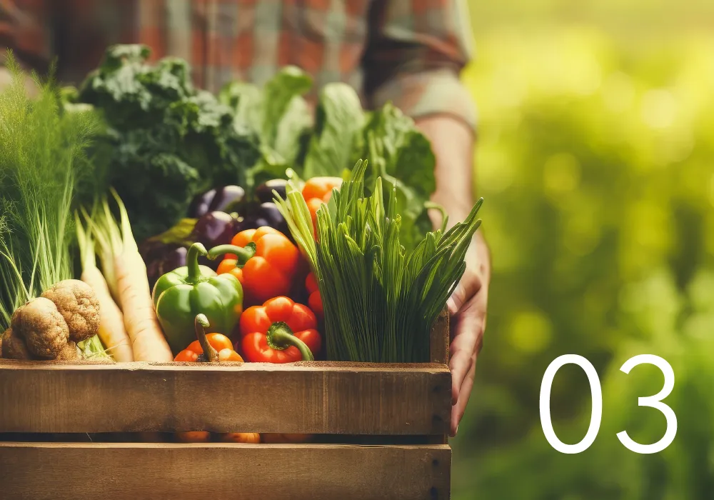 野菜収穫の画像