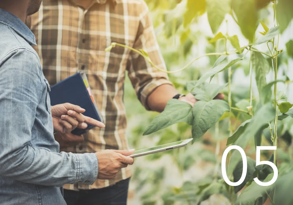 収穫打ち合わせの画像