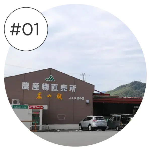 JAふじ伊豆取材記事（マイナビ特集）