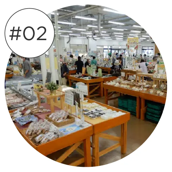 JAふじ伊豆取材記事（マイナビ特集）