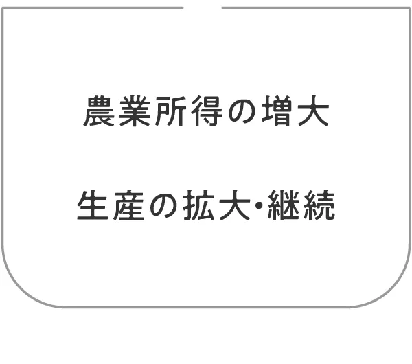 農業所得の増大 生産の拡大・継続